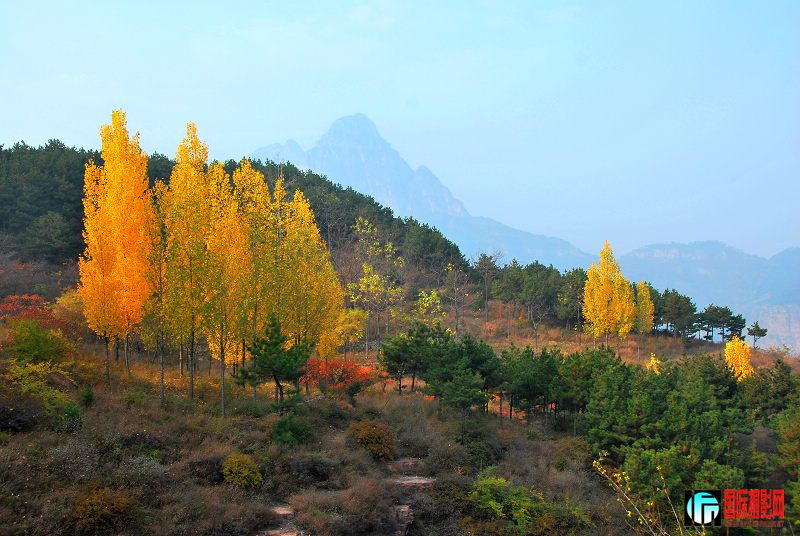 DSC_0023.jpg