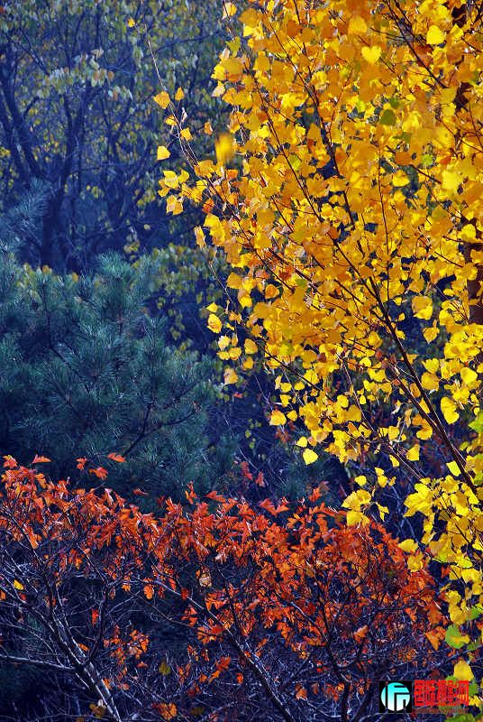 DSC_0022.jpg
