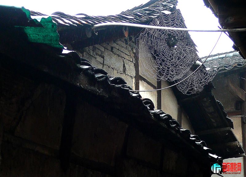 P1020440.'.jpg
