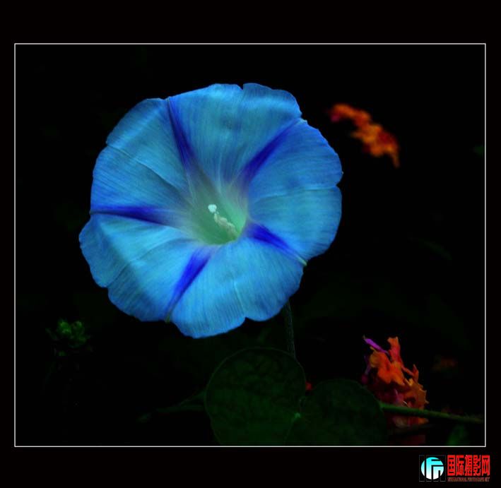 DSCN7001m.jpg