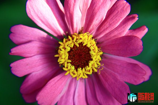 IMG_7344.JPG