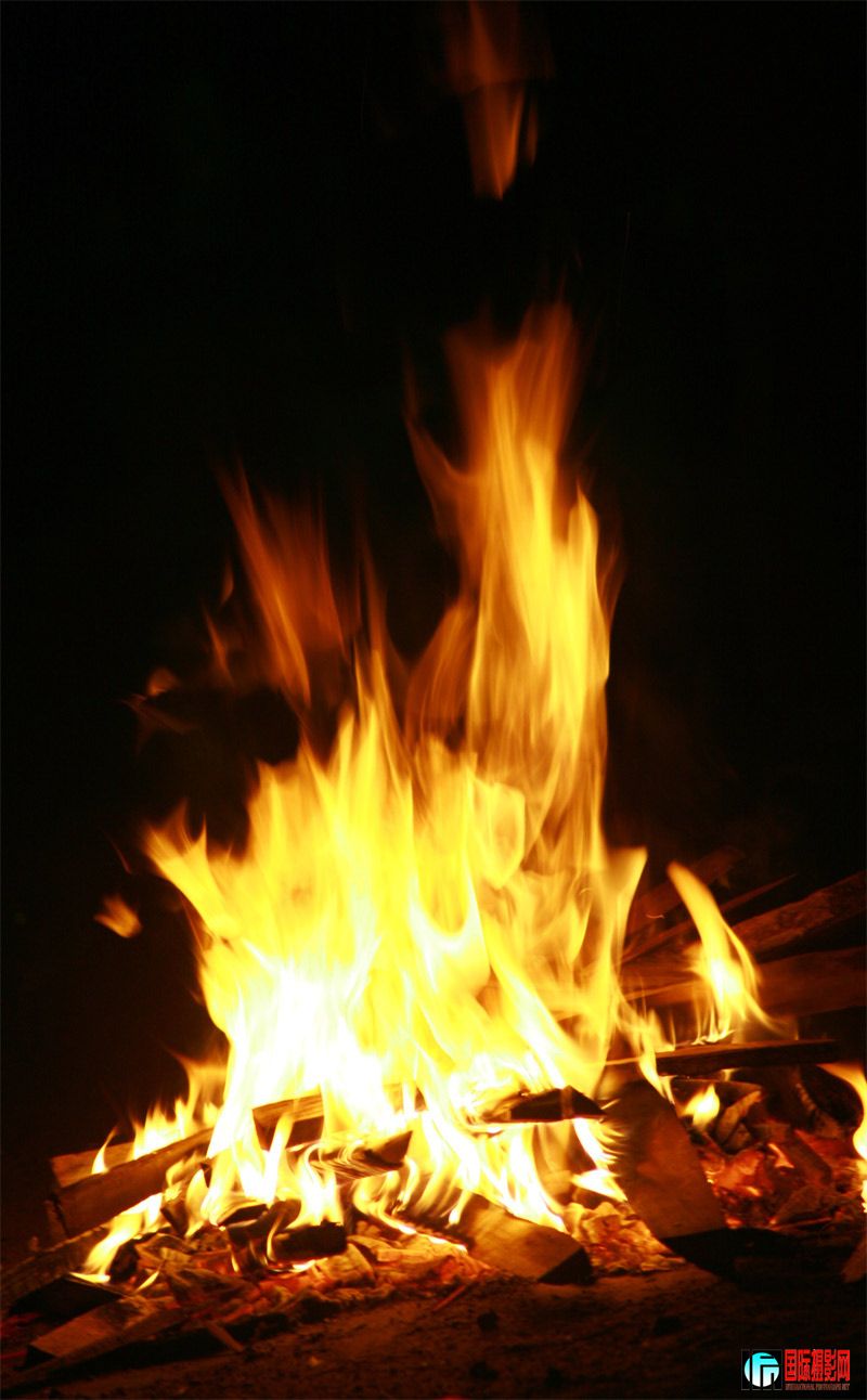IMG_0233.jpg