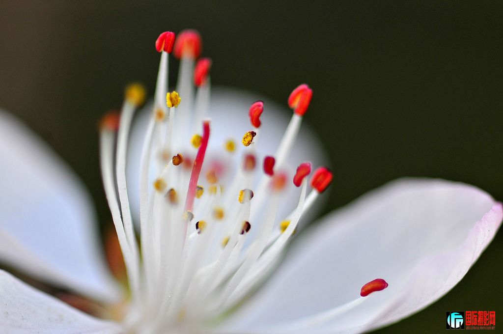 _DSC5388_Ӱ_1.jpg