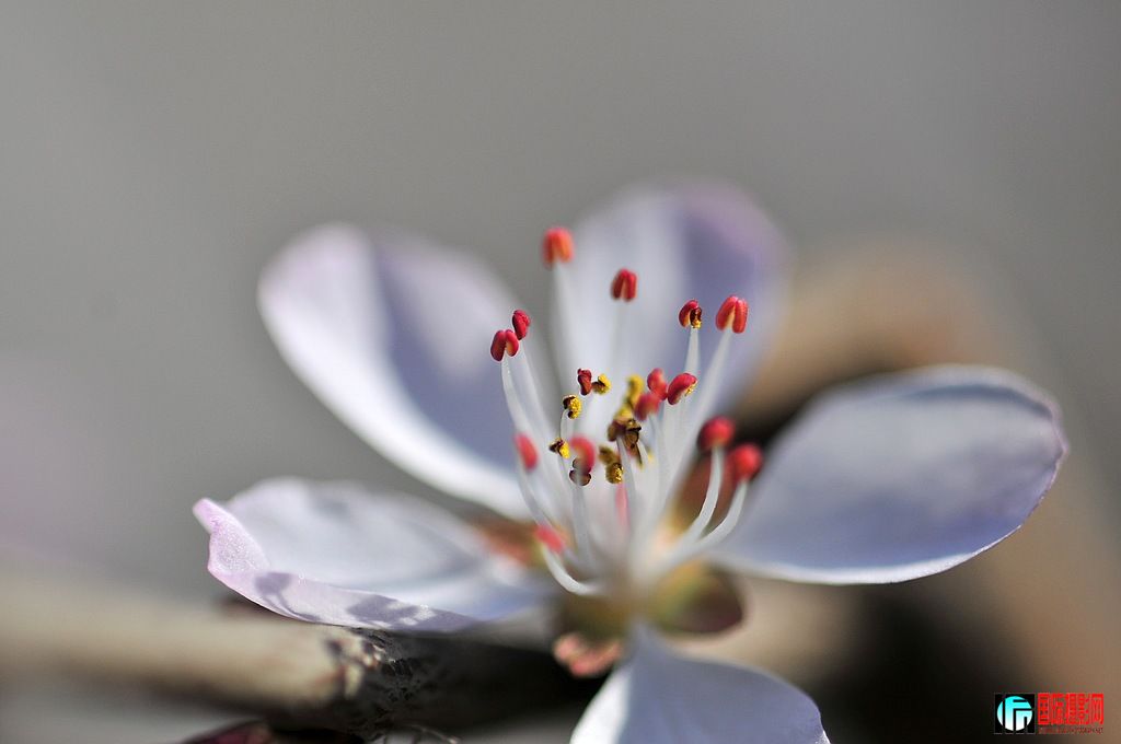 _DSC5386_Ӱ_1.jpg