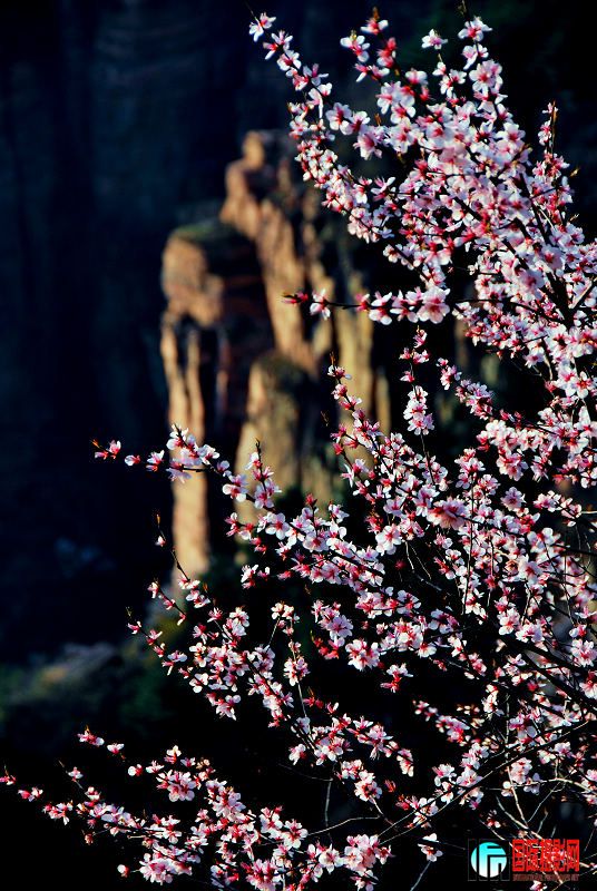 DSC_0144.jpg
