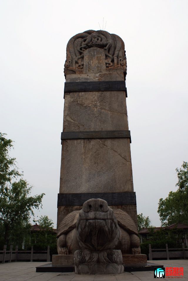 121d1d30989g213.jpg