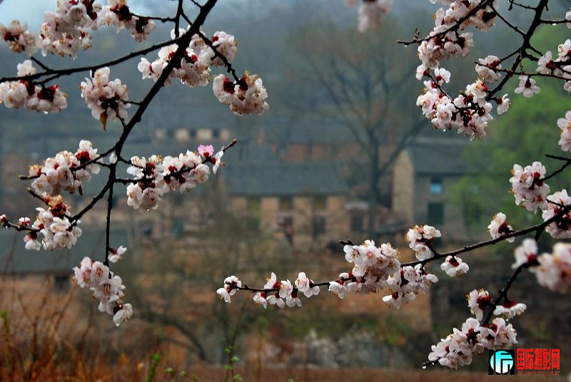DSC_0022.jpg