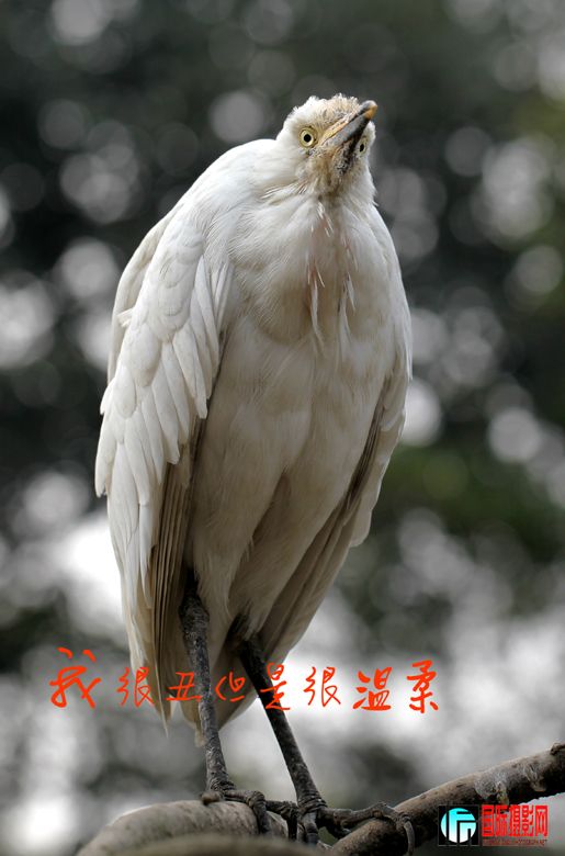 9IMG_0951'.jpg