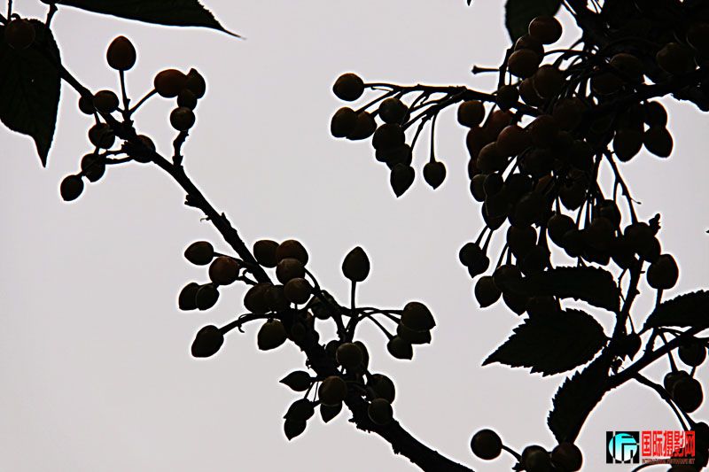 IMG_2139.JPG
