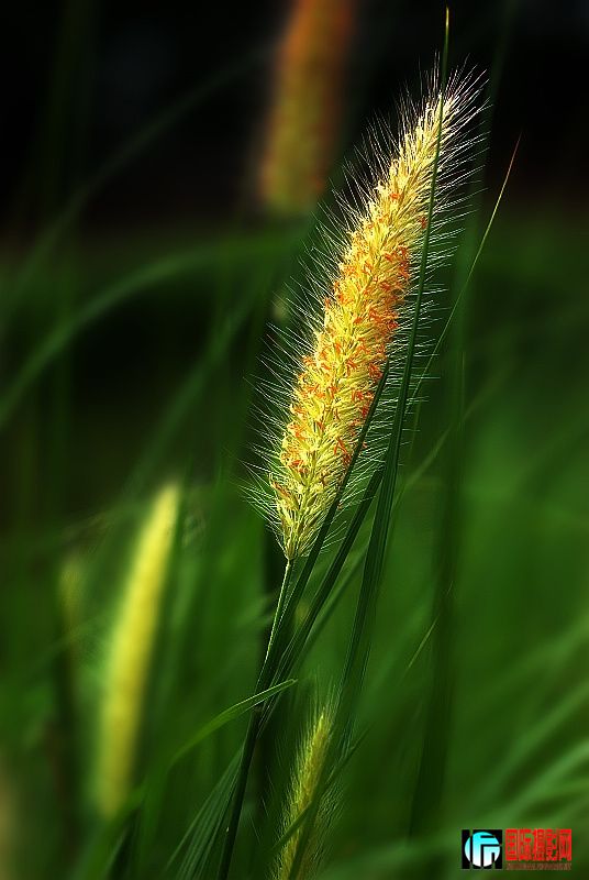 DSC_0030s.jpg