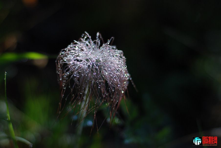 DSC_0024.jpg