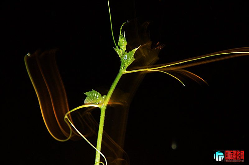 DSC_8509.jpg