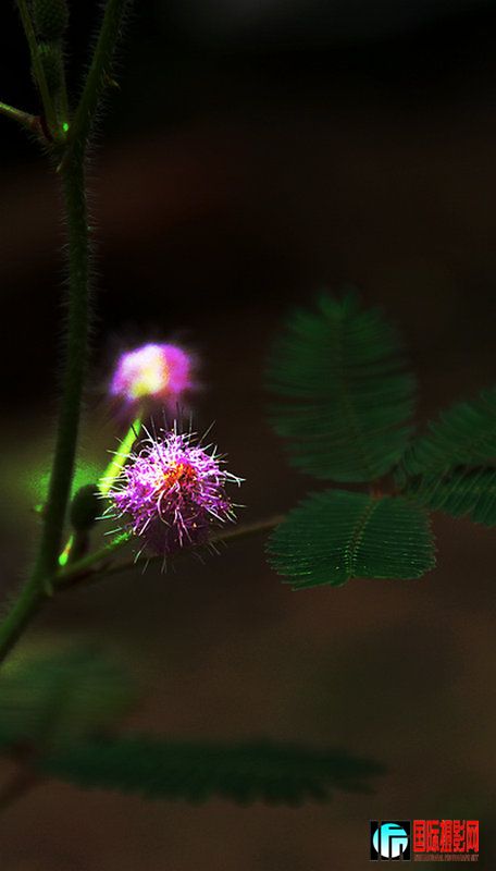 DSC_9091.jpg