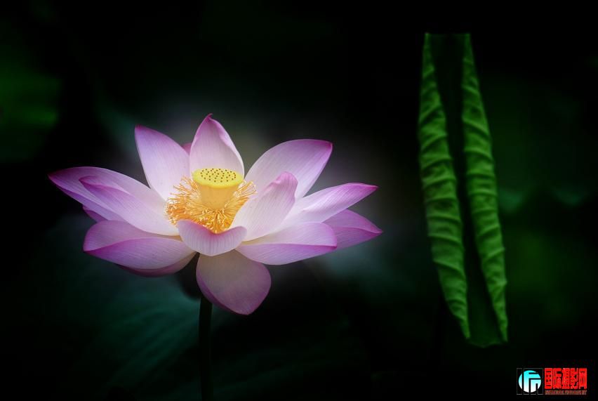 20100902_a72cc28f9ff4d5804bd7GSlCVtH75P5e.jpg