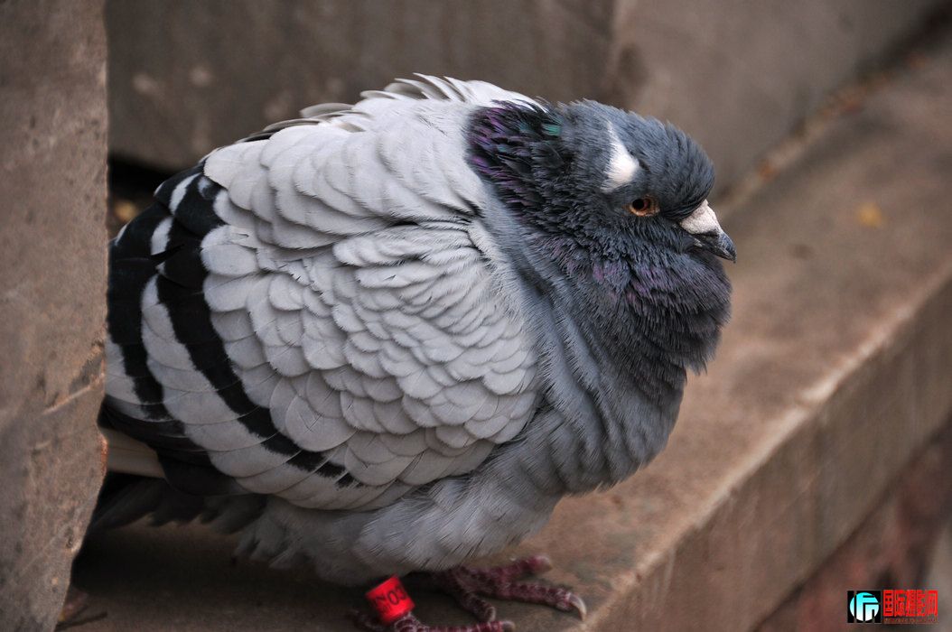 DSC_17.jpg