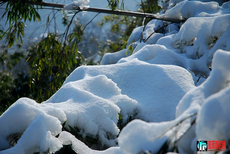 DSC_3630-0.jpg