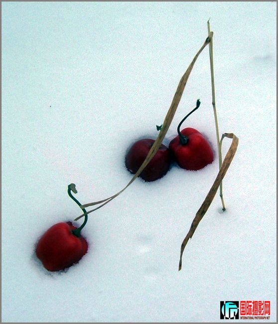 ͼƬ-51+M 063  2.jpg