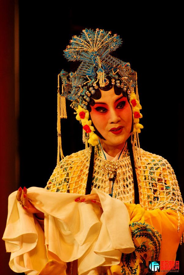 DSC0-099.jpg