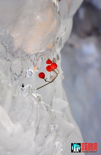 DSC_0108.JPG