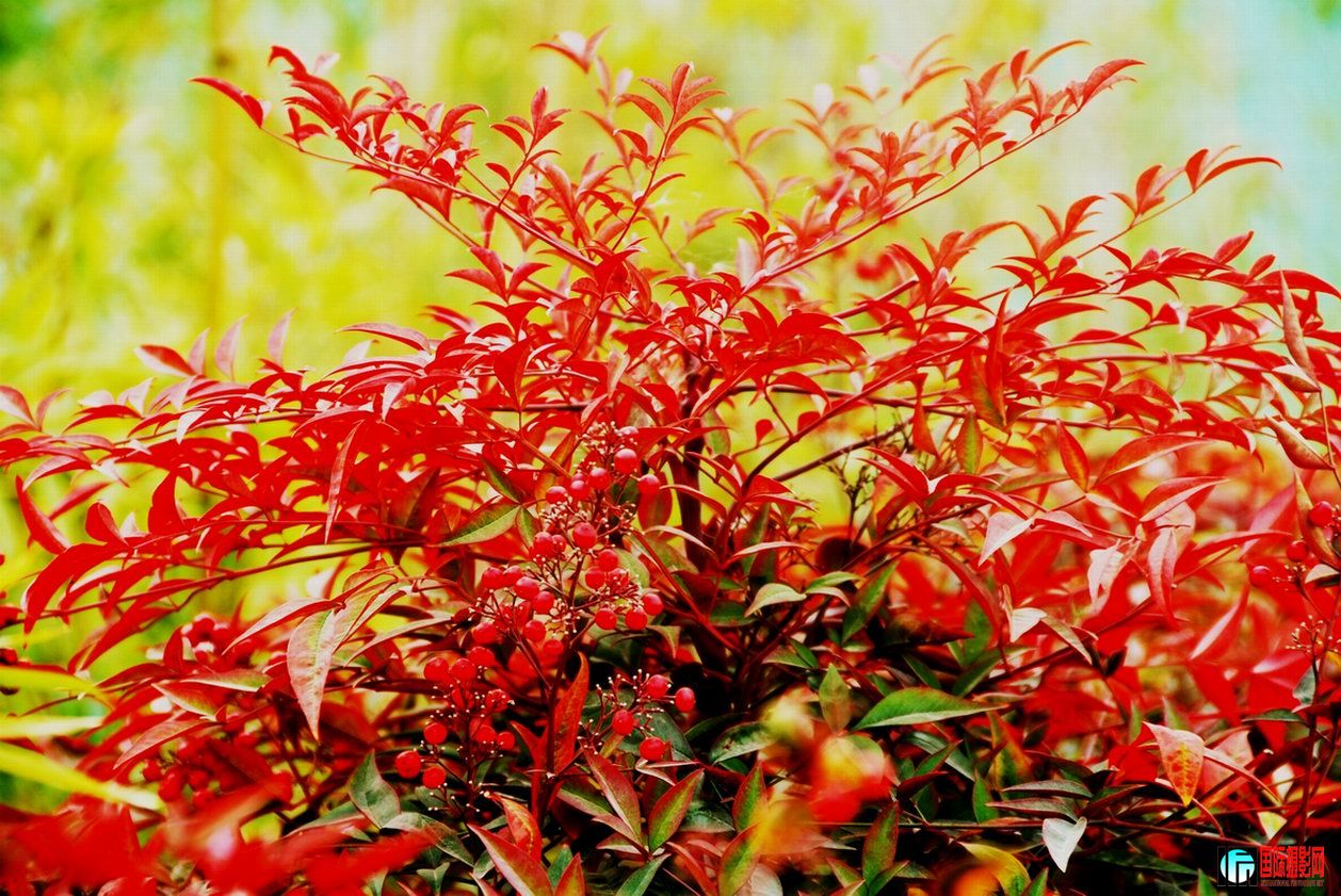DSC_0562.JPG