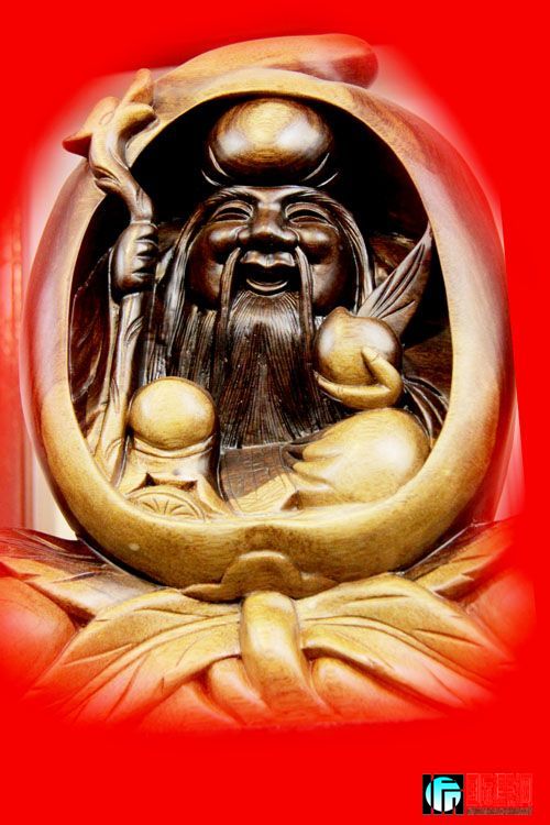 huahua--ľ.jpg