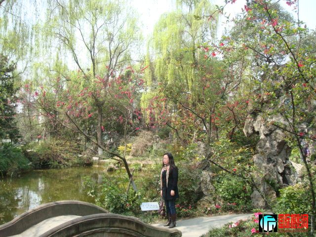 DSC00011.JPG