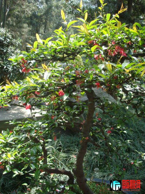 DSC00014.JPG