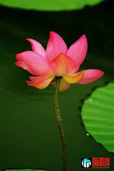 DSC07890__.jpg