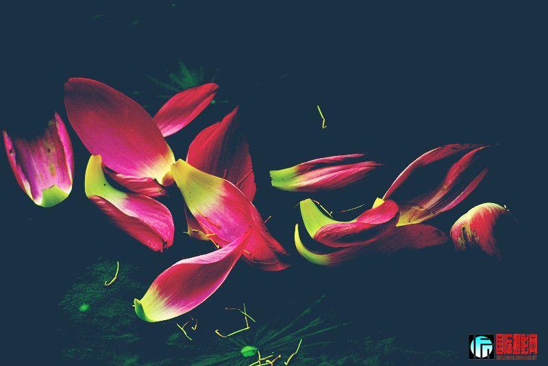 DSC08246_.jpg