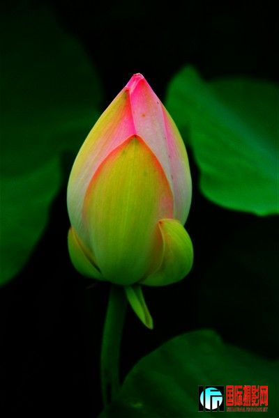 IMG_9919_.jpg