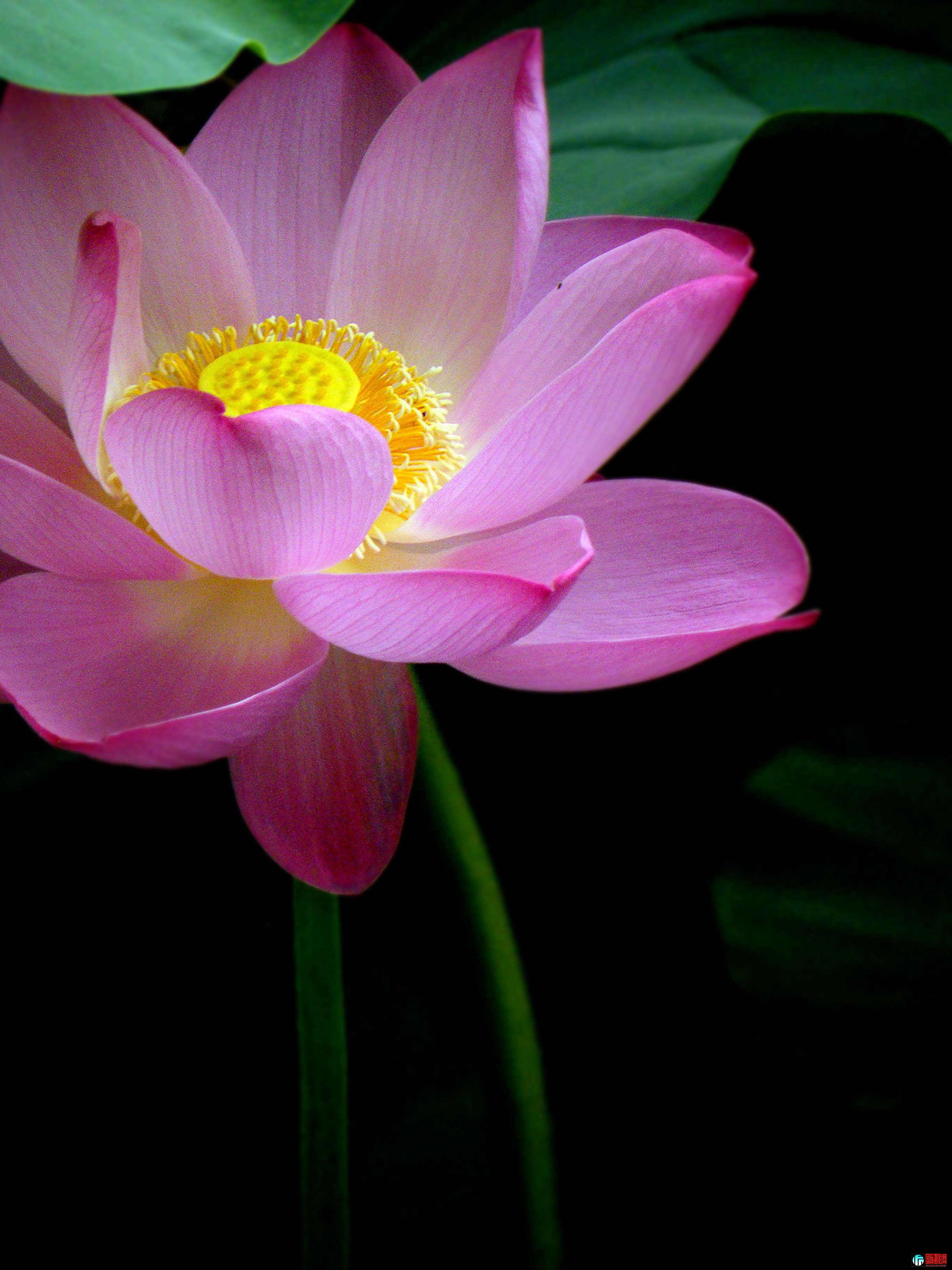 DSCF2545.jpg