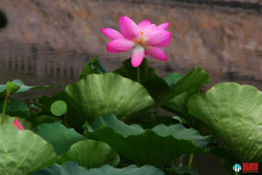 2011719գվŮ 086.jpg