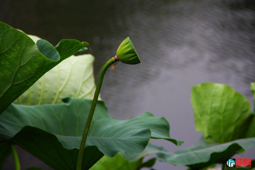 2011719գվŮ 059.jpg