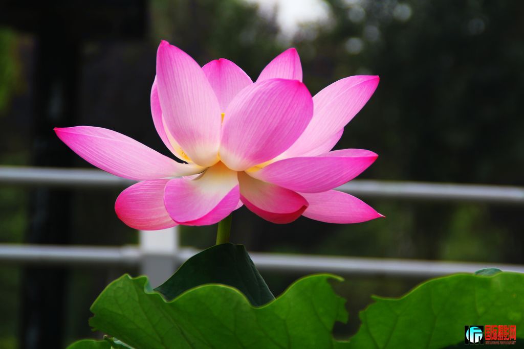 2011719գվŮ 022.jpg