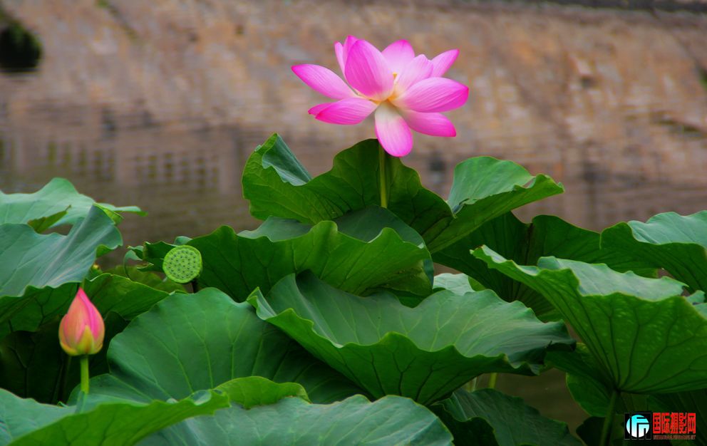 2011719գվŮ 087.jpg