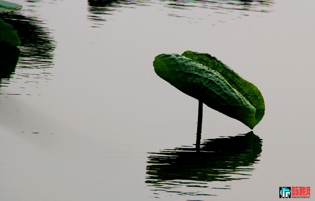 2011723գ㸮ɷ 049.jpg