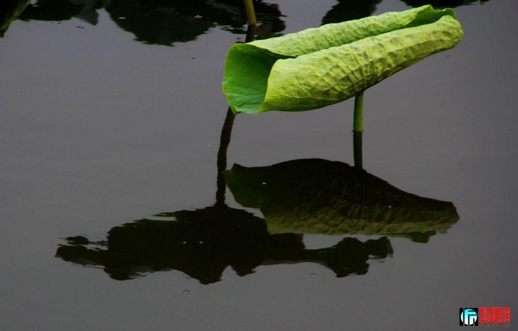2011723գ㸮ɷ 197.jpg