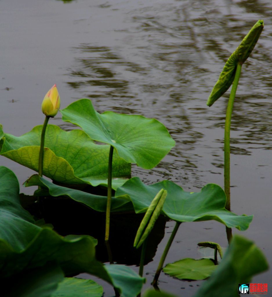 2011723գ㸮ɷ 118.jpg