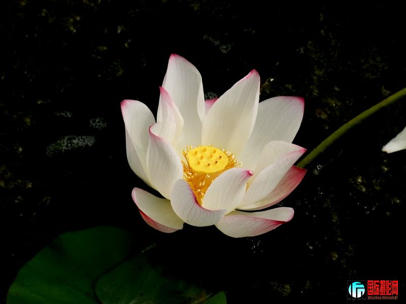 DSCF1637_Ӱ_1.jpg