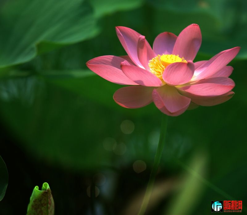 DSC_6369˵-1.jpg