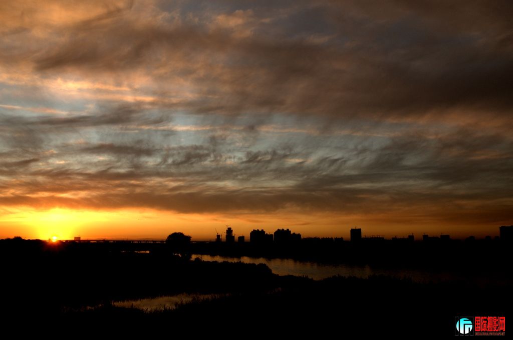 DSC_7959.jpg