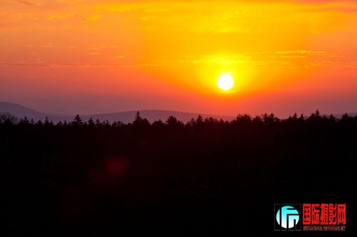 IMG_2115.JPG