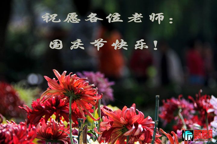 IMG_6856aa_conew2.jpg