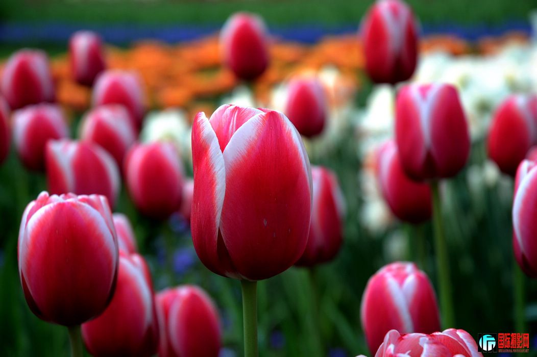 DSC_026.jpg