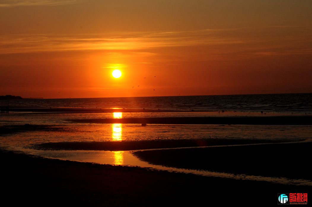DSC_042.jpg