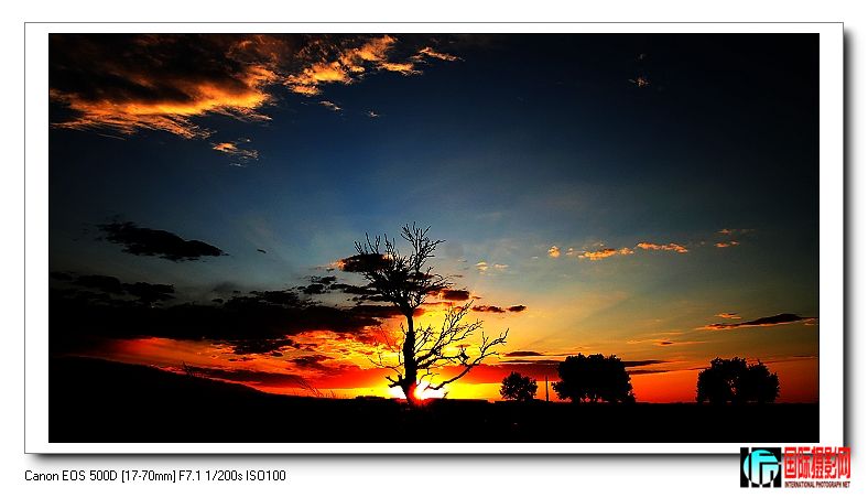 nEO_IMG_IMG_0697a.jpg