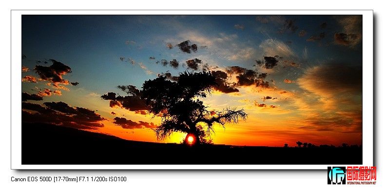 nEO_IMG_IMG_0748a.jpg