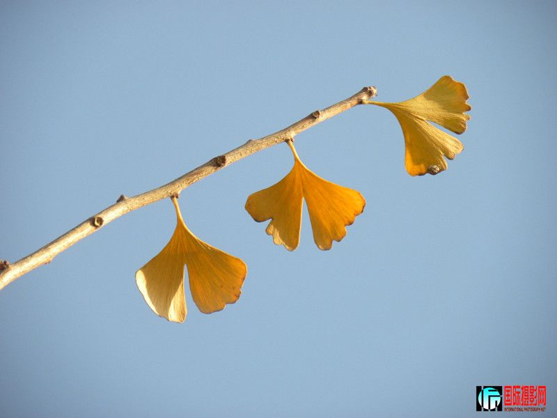 DSCN9865_.jpg
