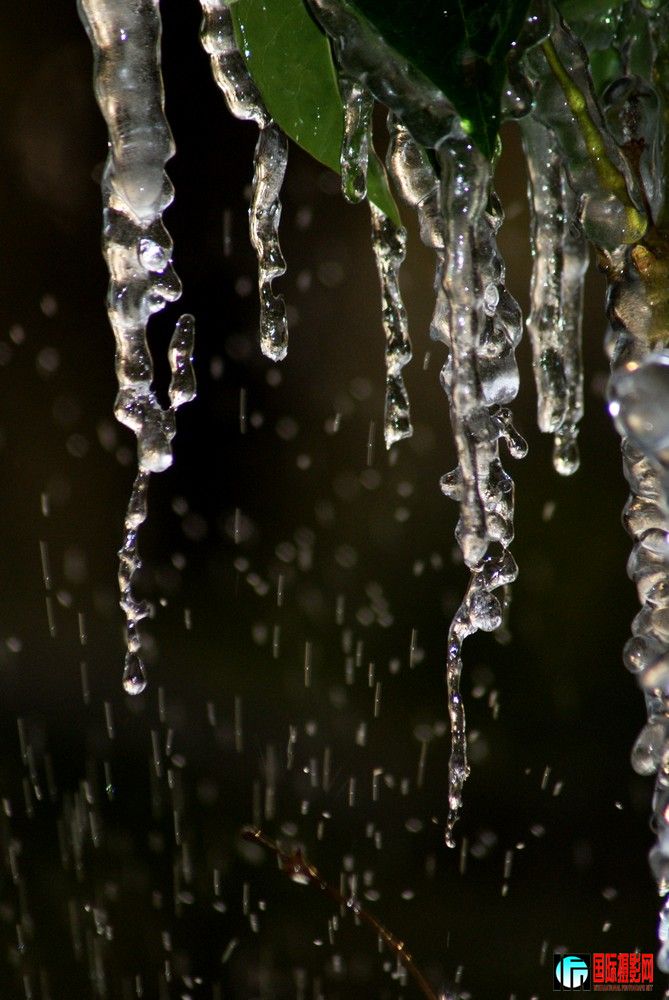 DSC0-005.jpg