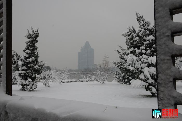 DSC_5814-1.jpg